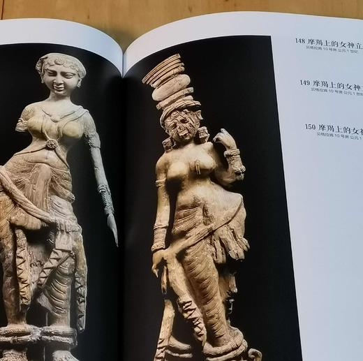 《来自阿富汗的国宝》，16开，平装，湖南省博物院编著，湖南省博物院2018年版，售价48元。 商品图12