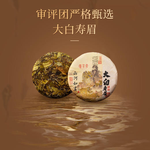 懂茶帝-福鼎白茶吴洋山2018年的大白寿眉饼100g 商品图1