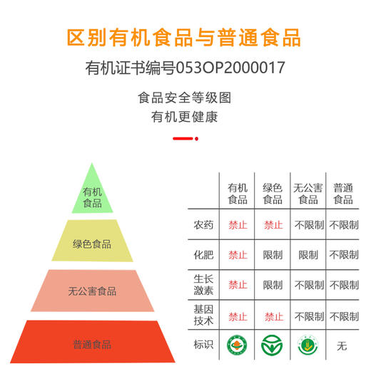 【猫千岁银耳鲜露】冰糖红枣枸杞汁早餐营养滋补饮品 商品图5