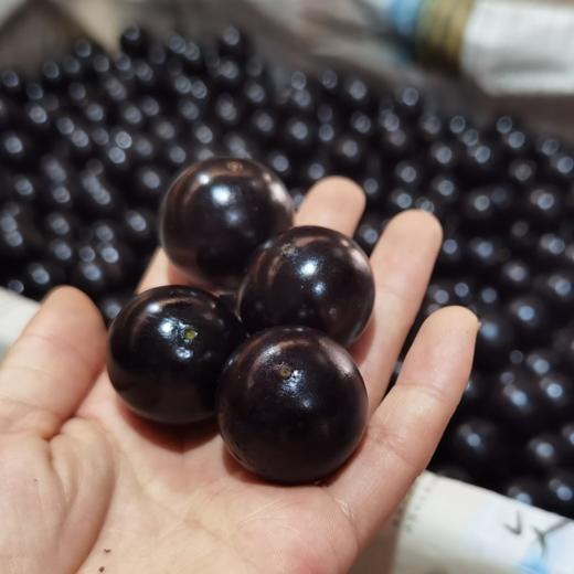 顺丰发货【嘉宝果树葡萄】口感奇特，一果四味，味似山竹、芭乐、龙眼、凤梨等热带水果，果肉细腻多汁，外皮又黑又亮 商品图1