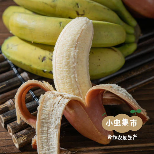 生态香蕉 2.5kg | 合作农友生产，产自香蕉之乡福建南靖，生产者：戴胜利 *【公平贸易农人定价】 商品图5