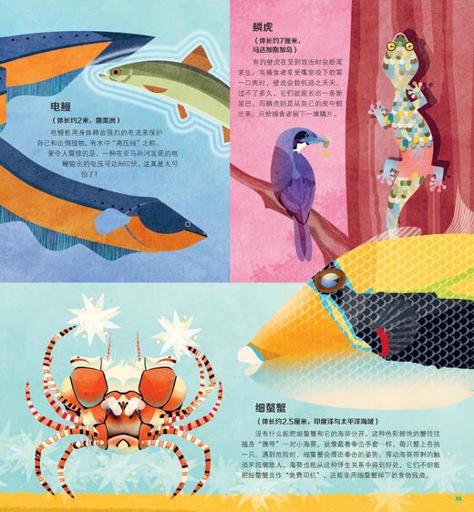 《大英儿童百科地球冒险计划》（全4册） 商品图12