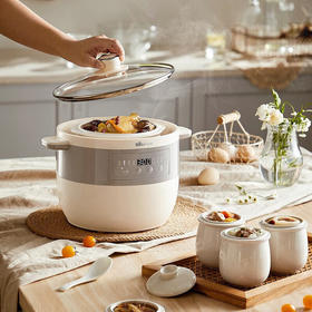 小熊婴儿辅食锅 电炖锅 燕窝炖盅 宝宝辅食bb煲煮粥煲汤锅大容量可预约定时 DDZ-B25Q3