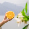 【湖北秭归-伦晚春橙 】果肉细腻，甜润多汁，花果同枝，14个月生长周期 3斤/5斤/9斤家庭装 商品缩略图11