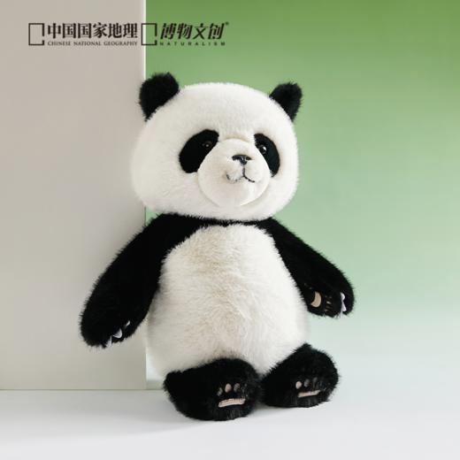 博物文创 大野系列 佛系大熊猫 正义小熊猫毛绒玩偶公仔 商品图0