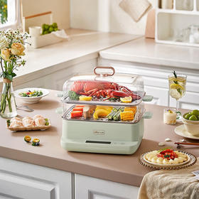  小熊（Bear） 电煮锅多功能锅9L大容量双层电蒸锅DZG-C90G3【ZMD安心系列】 DZG-C90G3