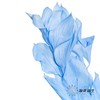 永生花材 ｜ 桔子叶天蓝 商品缩略图4