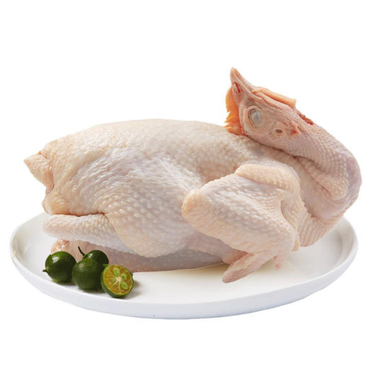 【海南好物】文昌鸡  1kg/只 商品图2