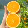 【湖北秭归-伦晚春橙 】果肉细腻，甜润多汁，花果同枝，14个月生长周期 3斤/5斤/9斤家庭装 商品缩略图0