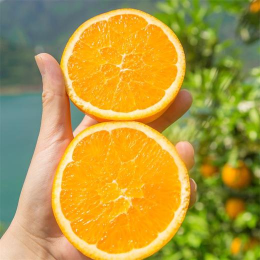 【湖北秭归-伦晚春橙 】果肉细腻，甜润多汁，花果同枝，14个月生长周期 3斤/5斤/9斤家庭装 商品图0