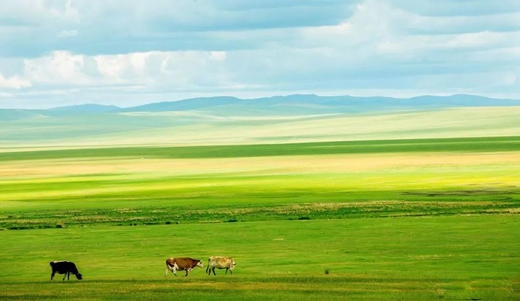 5.19【内蒙古之春】呼伦贝尔草原、阿尔山天池、兴安杜鹃•观天鹅7天摄影 商品图5