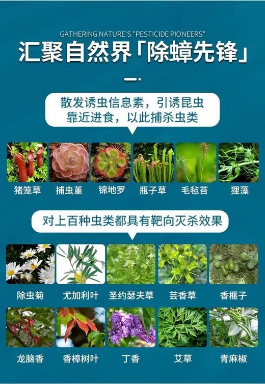 【除蟑爆品】澳洲原装进口 AIRUSH除蟑胶饵 蟑螂一窝端 2支/盒 商品图4