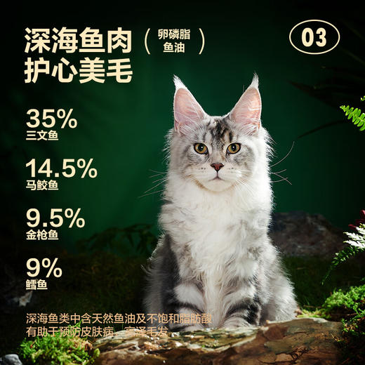 网易天成 宠物主食罐成猫幼猫全猫罐头 高肉含量0谷物猫罐头禽肉罐85g*6罐 商品图2