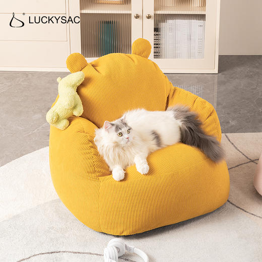 LUCKYSAC泰迪熊儿童公仔沙发柔软阳台卧室休闲宝宝阅读可爱座椅单人小沙发猫窝 商品图2