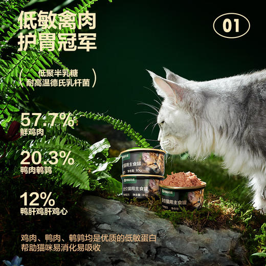 网易天成 宠物主食罐成猫幼猫全猫罐头 高肉含量0谷物猫罐头禽肉罐85g*6罐 商品图1