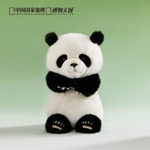 博物文创 大野系列 佛系大熊猫 正义小熊猫毛绒玩偶公仔 商品图1