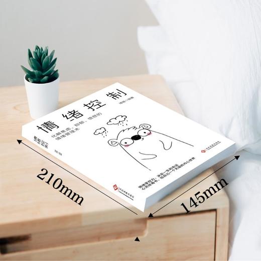 情绪控制 商品图2