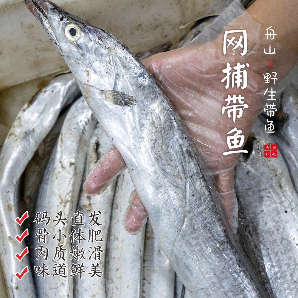 【闹妈】[鲜冻]舟山东海捕捞 油带鱼会有破肚现象 按条卖