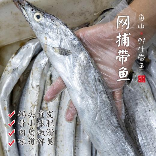 【闹妈】[鲜冻]舟山东海捕捞 油带鱼会有破肚现象 按条卖 商品图0