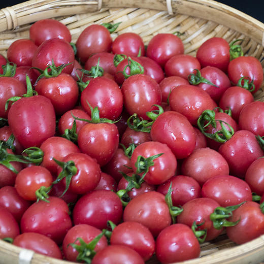东升农场 供港小番茄 3斤/5斤 广东省内包邮 商品图4