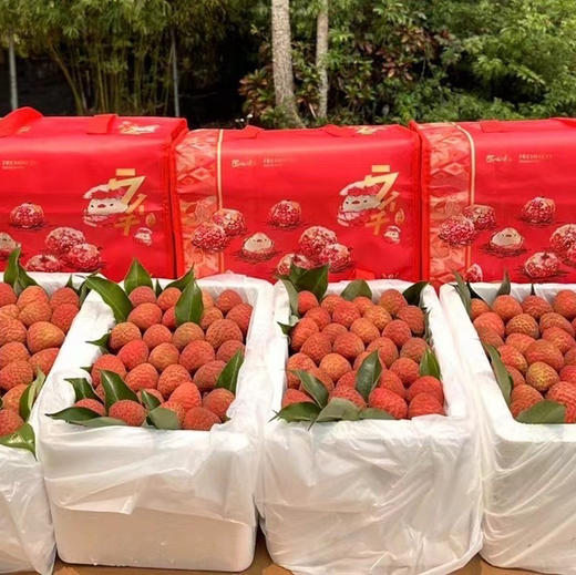 空运桂花香荔枝 商品图13