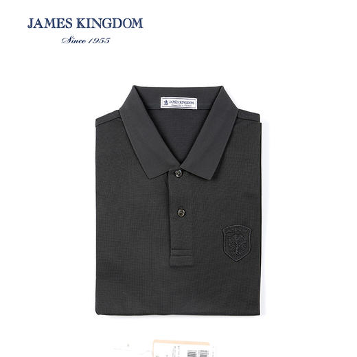 【1件/119  2件/199】占姆士男士夏季短袖时尚POLO衫 商品图2