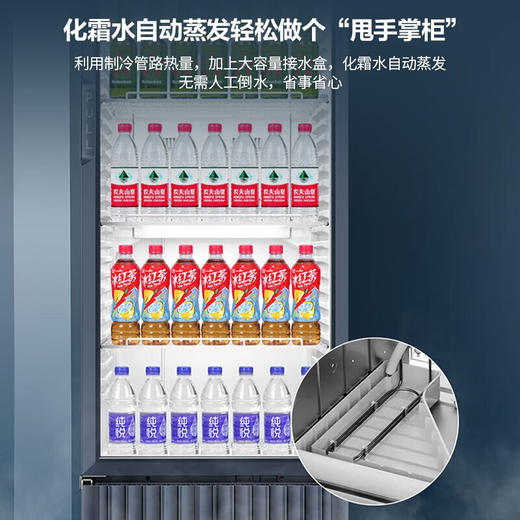 海尔冰柜商用展示柜立式冷藏柜保鲜大容量商超便利店水果饮料冷柜 SC-309J丨 280L 商品图7
