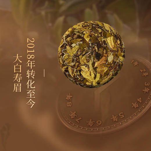 懂茶帝-福鼎白茶吴洋山2018年的大白寿眉饼100g 商品图2