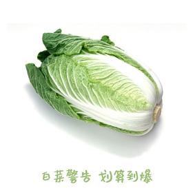 年后发！上新！白菜清仓②！拍下不退不换！血亏清仓！普通地区满39元包邮！基本都只有个位数库存！抢到赚到喽！润唇膏、博士茶、牙刷、护手霜、面霜、保温杯、热水袋