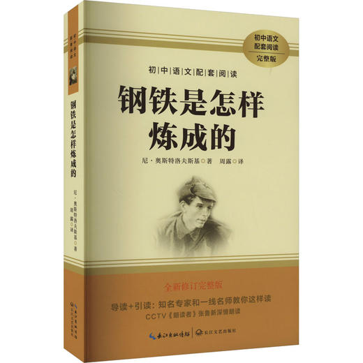 钢铁是怎么炼成的 完整版 商品图0