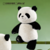 博物文创 大野系列 佛系大熊猫 正义小熊猫毛绒玩偶公仔 商品缩略图2