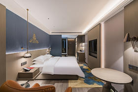 -雅致影音大床房大床房