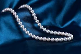 【臻雅】Akoya珍珠项链-ZX12403005