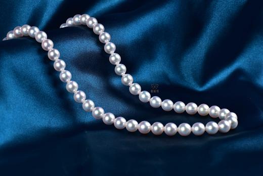 【臻雅】Akoya珍珠项链-ZX12403005 商品图0