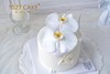 1027CAKE |  蝴蝶兰 鲜花蛋糕 简约氛围感 商品缩略图3