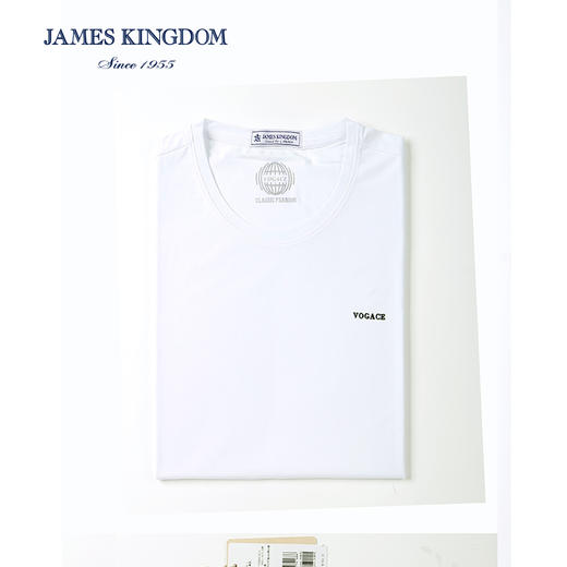 【专柜新款T恤断码清】占姆士莫代尔短袖T恤冰丝圆领半袖男潮 商品图3