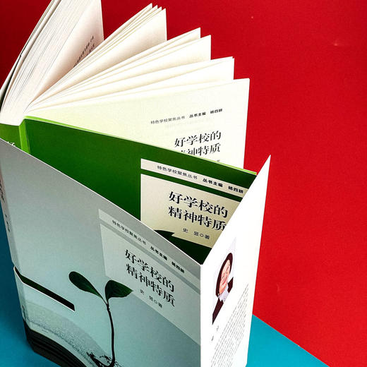好学校的精神特质 特色学校聚焦丛书 学校特色文化建设 史昱 商品图11