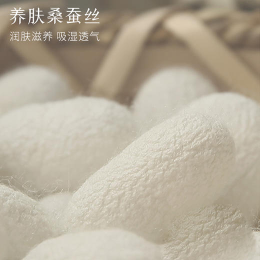 【柔光缎面内衣】女士内裤内衣套装性感无钢圈蚕 丝面料柔软舒适缎面软支撑显身材 商品图1