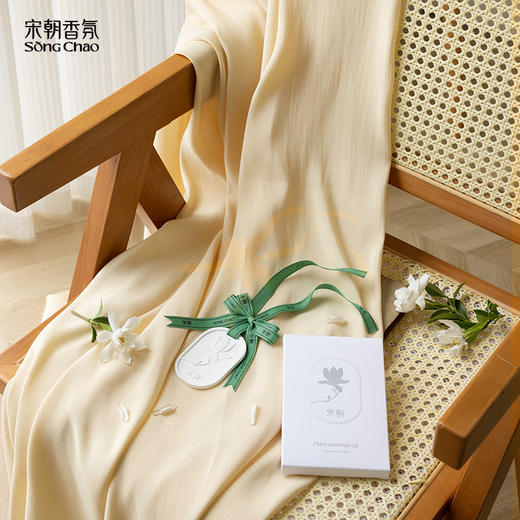 新品首发！！宋朝~暗香疏影硅藻土香挂 商品图4