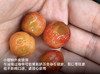 【顺丰空运】四川云端小樱桃 酸甜可口 个头小汁水足 2-3斤装【品种皮薄肉软，表皮破损不影响食用，介意慎拍！】 商品缩略图3