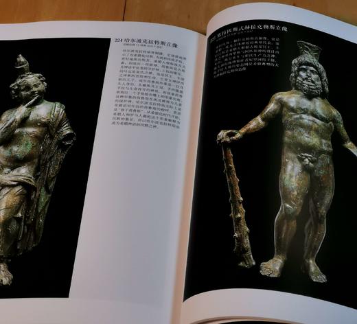 《来自阿富汗的国宝》，16开，平装，湖南省博物院编著，湖南省博物院2018年版，售价48元。 商品图14