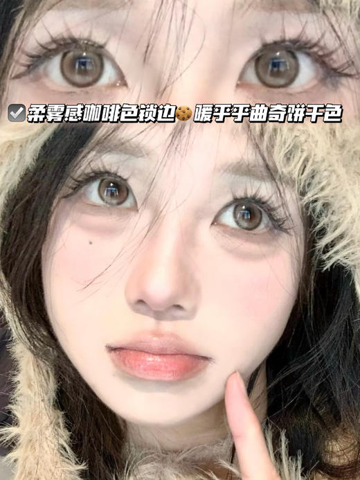 PUPPY 日系犬系泰迪棕【日抛·十片装】 商品图1