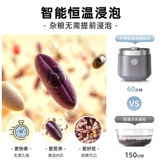 小熊（Bear）电饭煲迷你小型智能家用1-2人 柴火饭米饭微压多功能预约配蒸笼2人用电饭锅 【DFB-C16Q1碧玺灰】 1.6L 商品图3