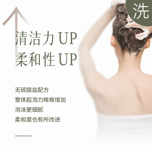 芳研社生姜雪松洗护旅行装洗发水30ml+护发素30ml无满赠 商品图1