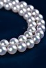 【臻雅】Akoya珍珠项链-ZX12403005 商品缩略图5
