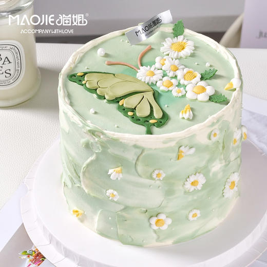 绿色蝴蝶ss-c3 商品图0