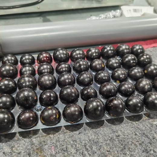 顺丰发货【嘉宝果树葡萄】口感奇特，一果四味，味似山竹、芭乐、龙眼、凤梨等热带水果，果肉细腻多汁，外皮又黑又亮 商品图4