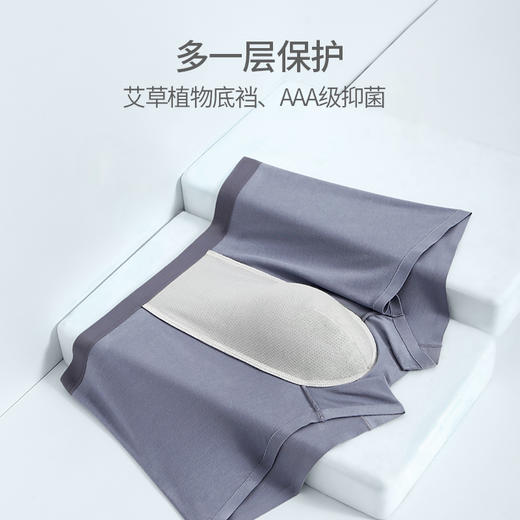 皮尔卡丹男士内裤无痕抗菌平角裤莫代尔短裤四角裤夏季冰丝薄款 商品图2