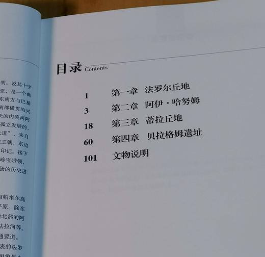 《来自阿富汗的国宝》，16开，平装，湖南省博物院编著，湖南省博物院2018年版，售价48元。 商品图3