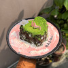 烤爱·生日蛋糕系列·爱的岛屿·母亲的爱 生日蛋糕 奥利奥·聚会生日节日【仅限深圳同城配送】 商品缩略图0